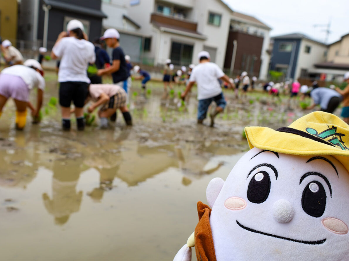 田植えをしたよ！