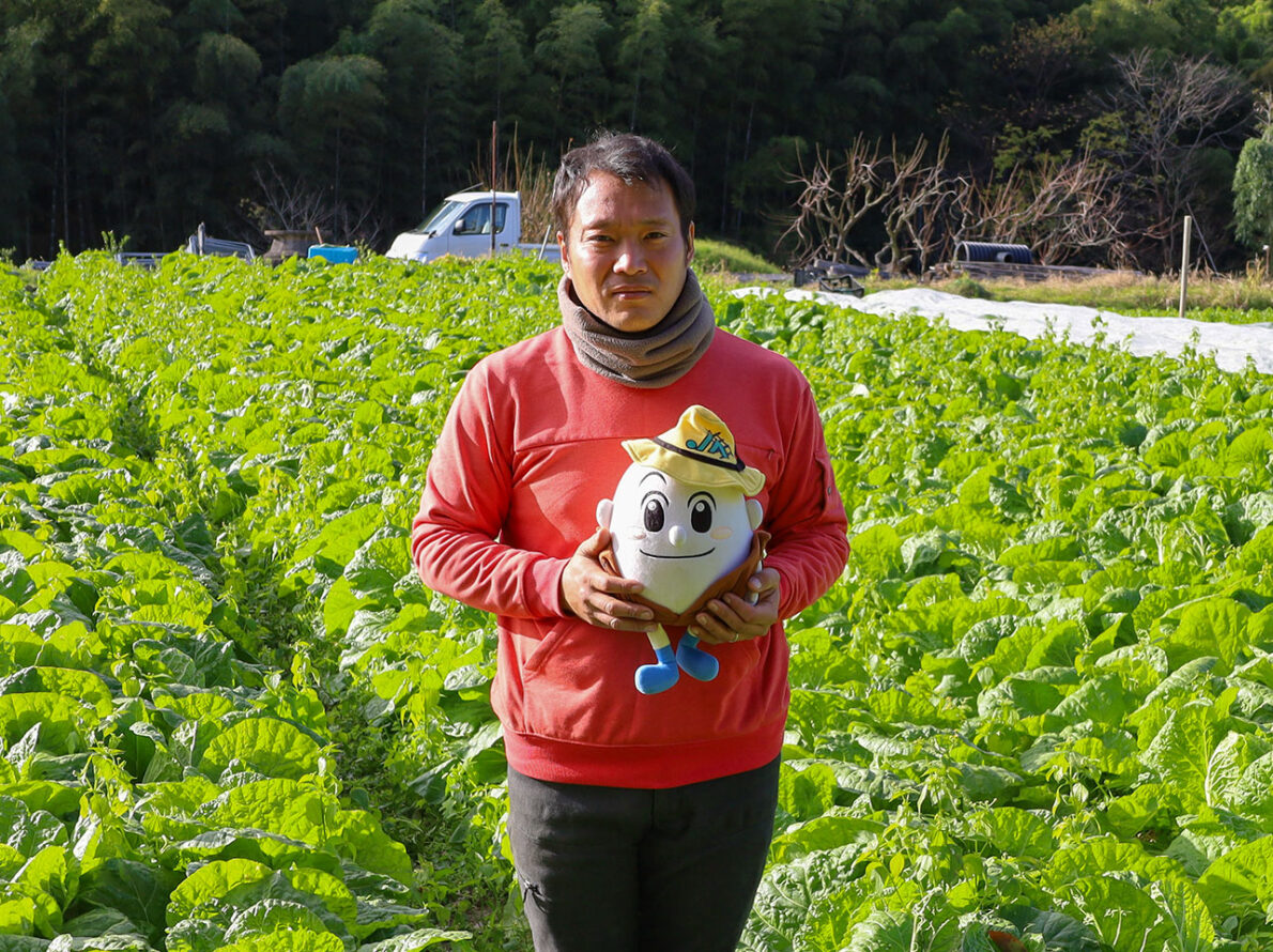 ハクサイの収穫を見学してきたよ！