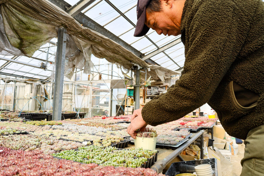 生産者のご紹介に「沢埜　英樹さん」を掲載しました